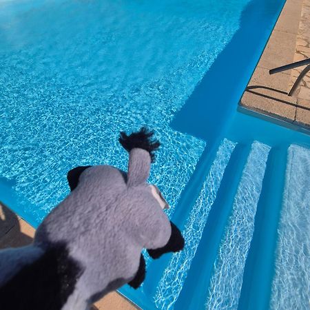 Havre De Paix Appart Climatise,Piscine,Wifi Le Barcarès Eksteriør bilde