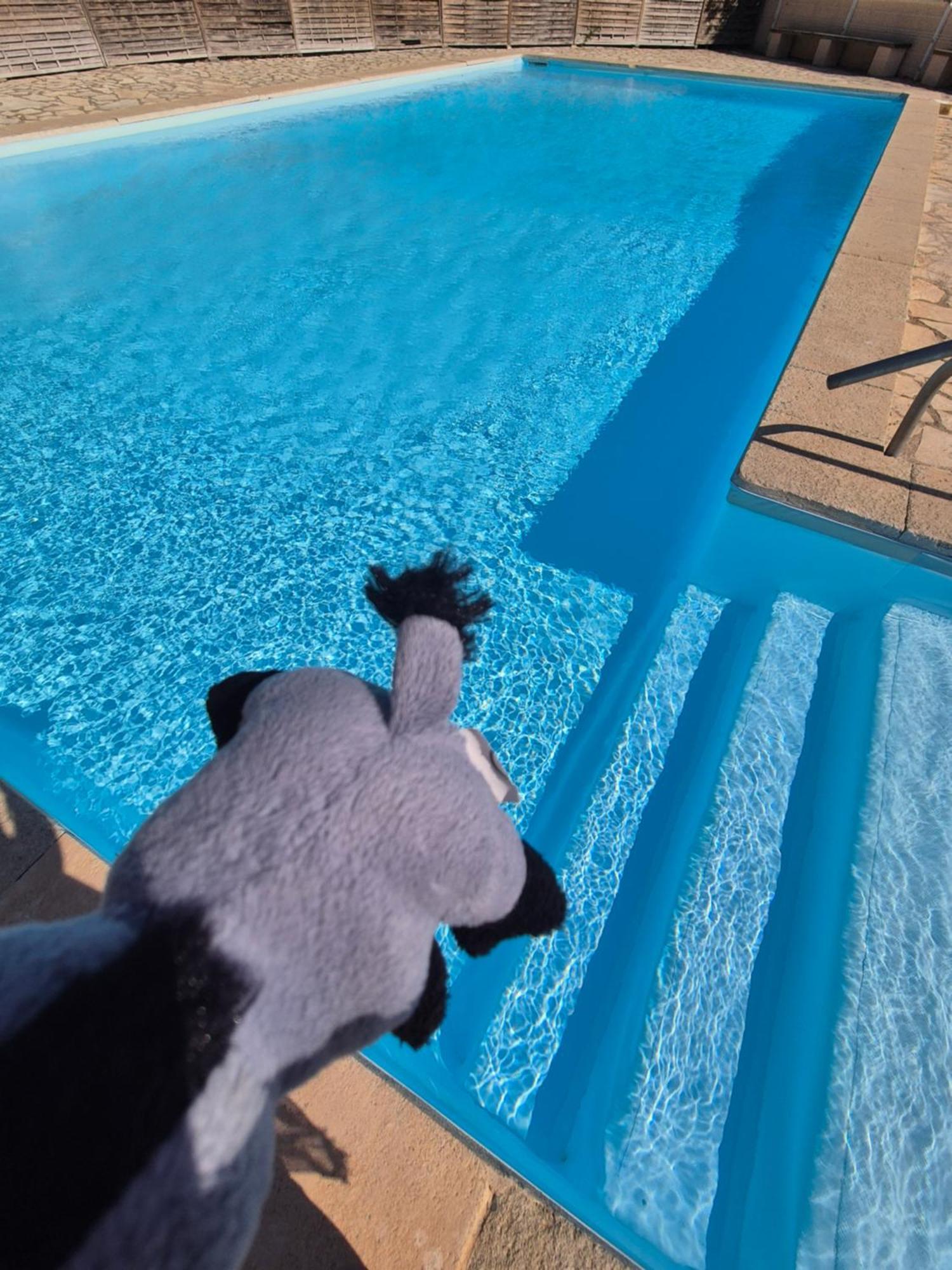 Havre De Paix Appart Climatise,Piscine,Wifi Le Barcarès Eksteriør bilde